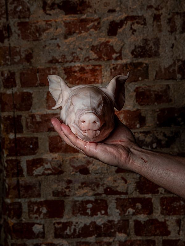 La Tasquería de Javi Estévez