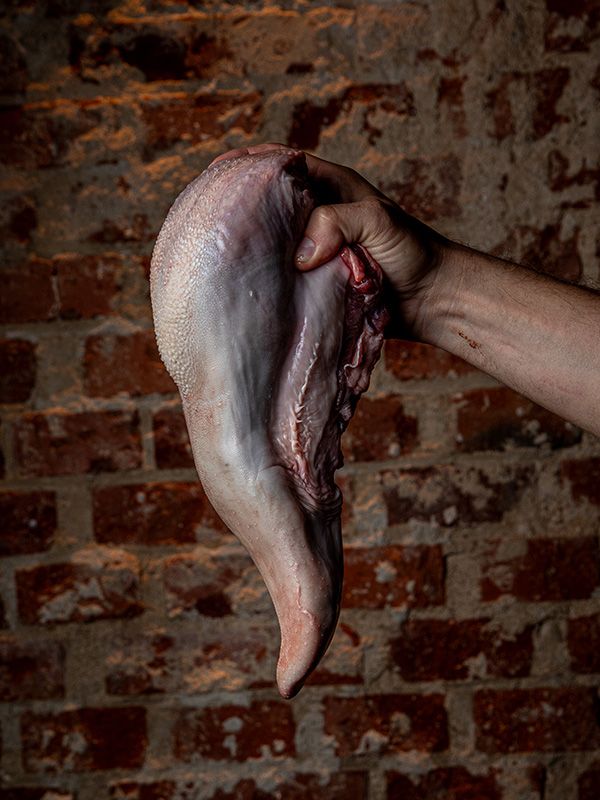 La Tasquería de Javi Estévez